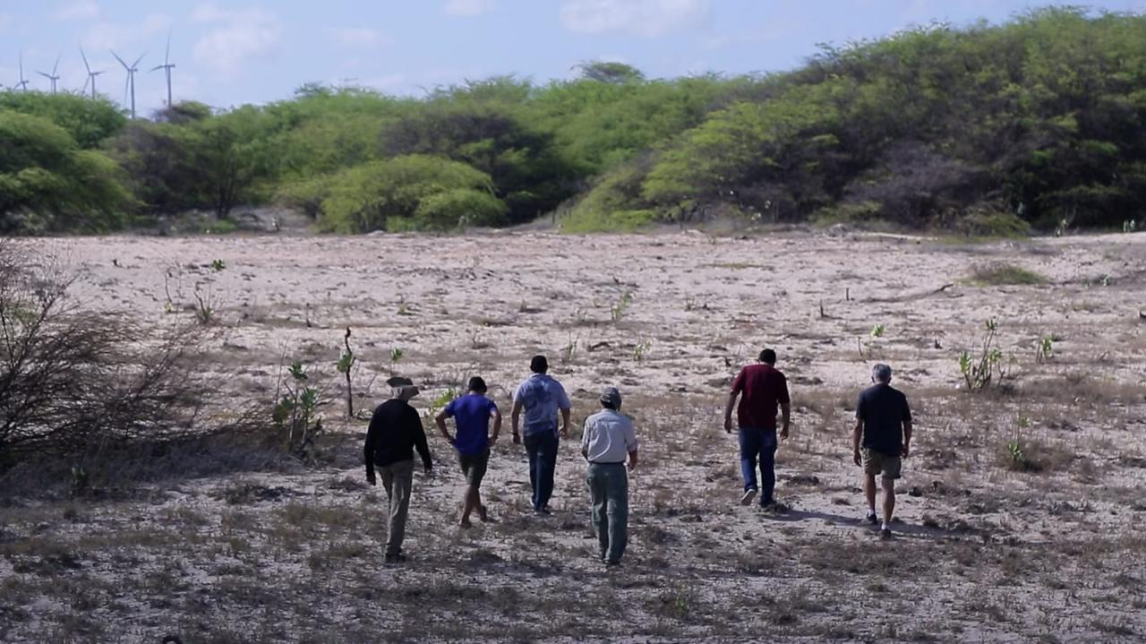 Expedição de campo
